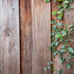 梦幻西游九色鹿上 38k7u